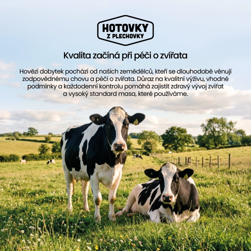 HOVÄDO – Hovězí maso ve vlastní šťávě