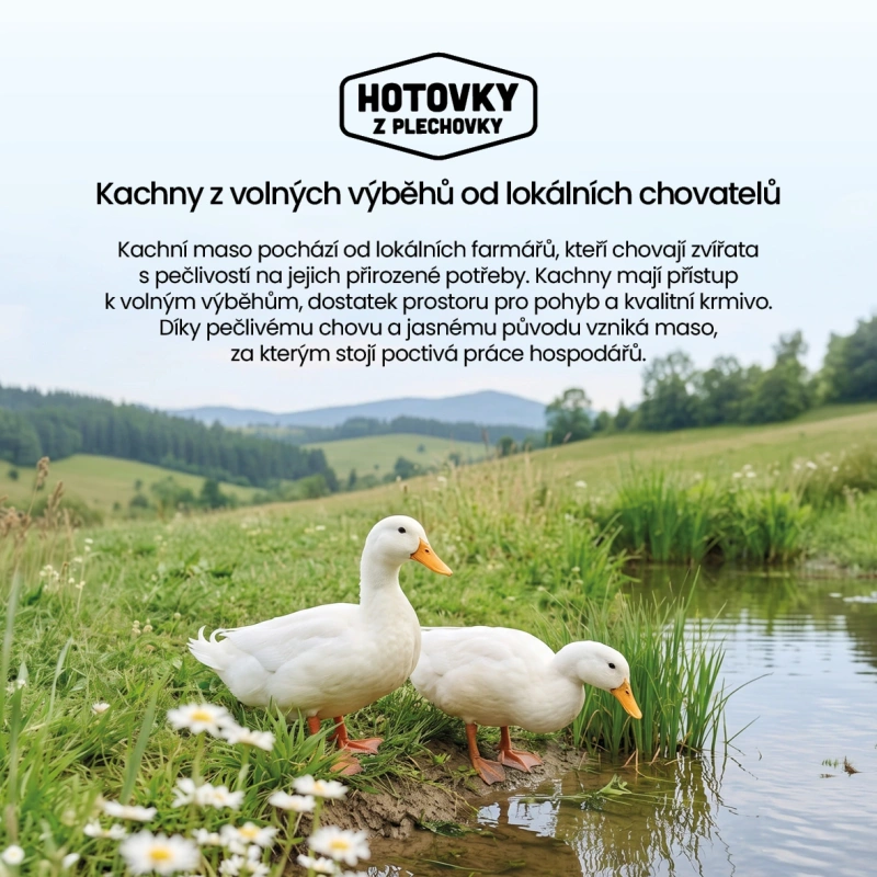 Konfitovaná kachní stehna